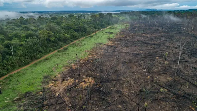 Desmatamento na Amazônia