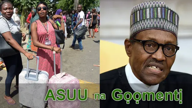 Ndị nkuzi mahadum na Gọọmentị etiti