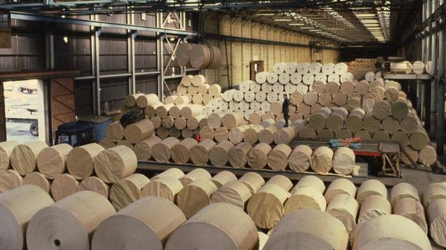 Rolosesporte bet pre apostaspapel estocados