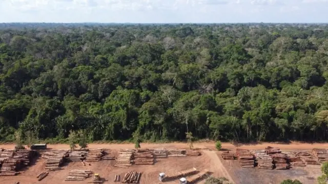 Floresta Amazônica