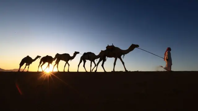 સાઉદી અરેબિયા