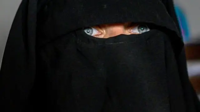 kamp pengungsi al hol