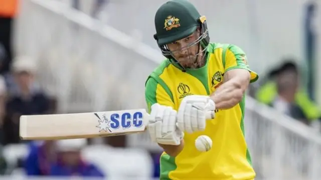 கோல்டர்-நைல்