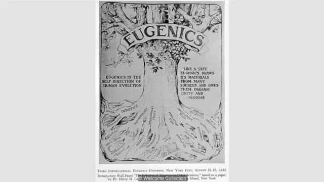 1907年,世界上第一部優生學法律在印第安納州通過,當時該州要求被送往社會收容機構的人士進行絶育。