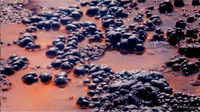 డార్విన్