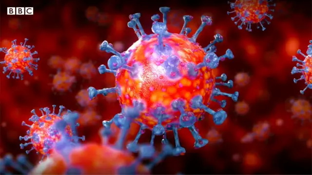 করোনাভাইরাস