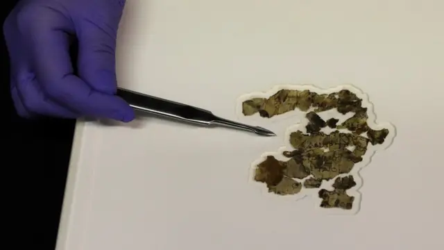 Fragmento de un texto bíblico encontrado en una cueva en Israel
