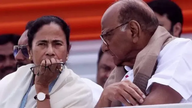 ममता बॅनर्जी, शरद पवार