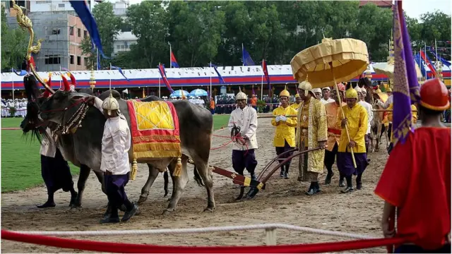 royal ploughing ceremony in Cambodia 2014