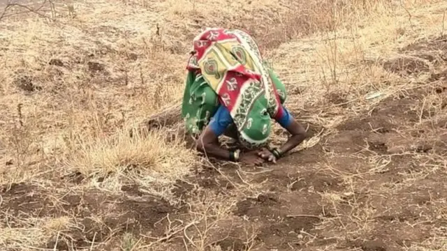 शेकूबाई वागळे, शेतकरी