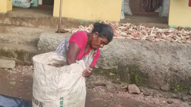 గంజాయిని కూడా సాగు చేస్తామని ఏవోబీలోని గిరిజనులు ఒప్పుకుంటున్నారు.