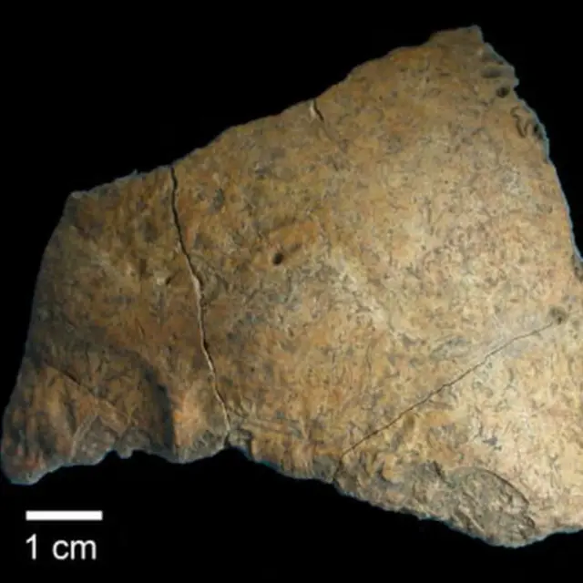 Osso fossilizadoslots que estao pagandohumano moderno encontradoslots que estao pagandoBuran Kaya