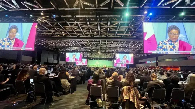 إليزابيث ماروما هي مديرة برنامج التنوع البيولوجي في الأمم المتحدة