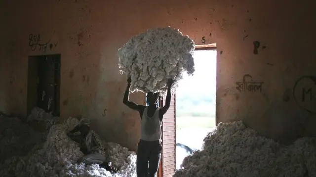 कापूस मार्केट