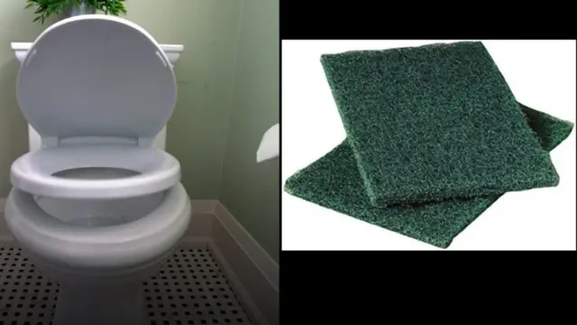 టాయిలెట్, గిన్నెలు కడిగే స్పాంజి