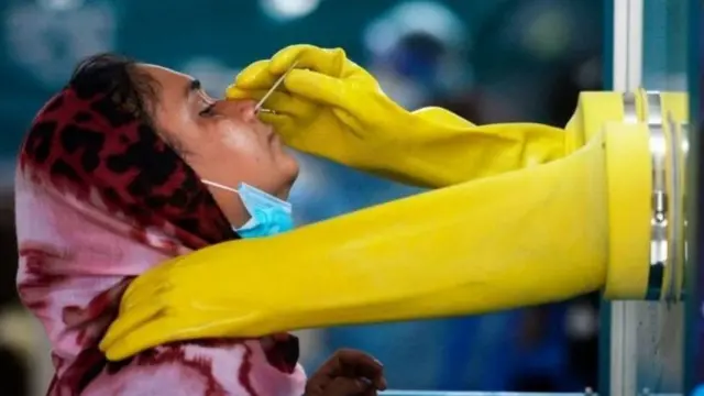 নমুনা সংগ্রহ