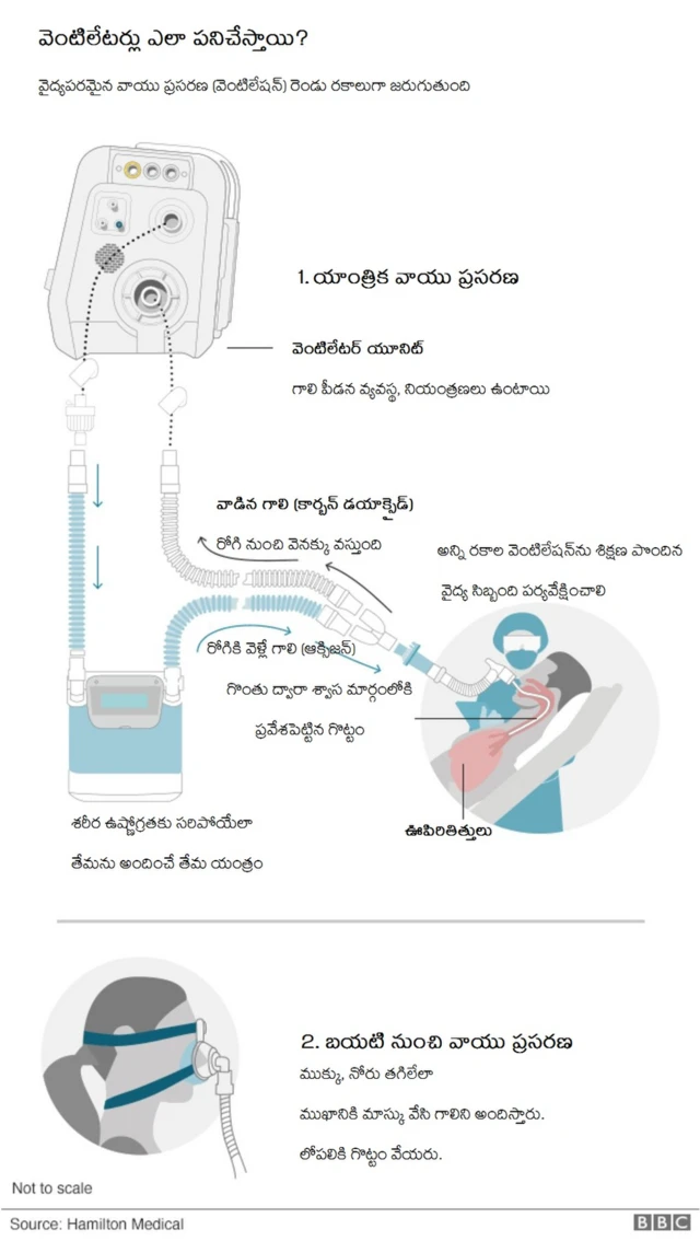 కరోనావైరస్
