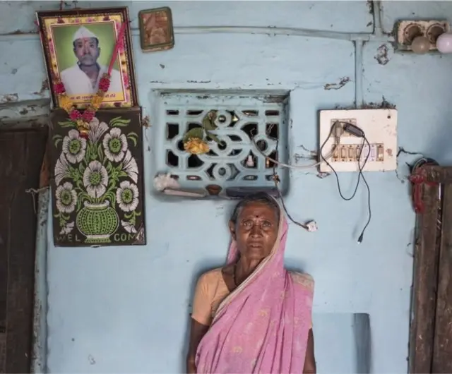 वाघ, वाघीण, प्राणी, जंगलं, पर्यावरण, भारत, महाराष्ट्र, यवतमाळ