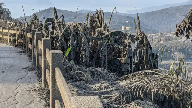 عمود من الرماد عقب انفجار بركان "تال، فوق مدينة تاغايتاي