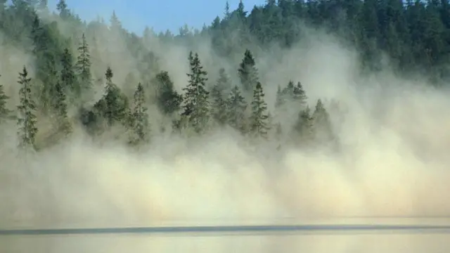 அமெரிக்கா மற்றும் கனடாவில் அமில மழையைக் குறைப்பதற்கான கொள்கைகள் பெருமளவு பயன் தருவதாக உள்ளன. ஏரிகளை மீட்டுருவாக்கம் செய்ய உதவியாக உள்ளன.