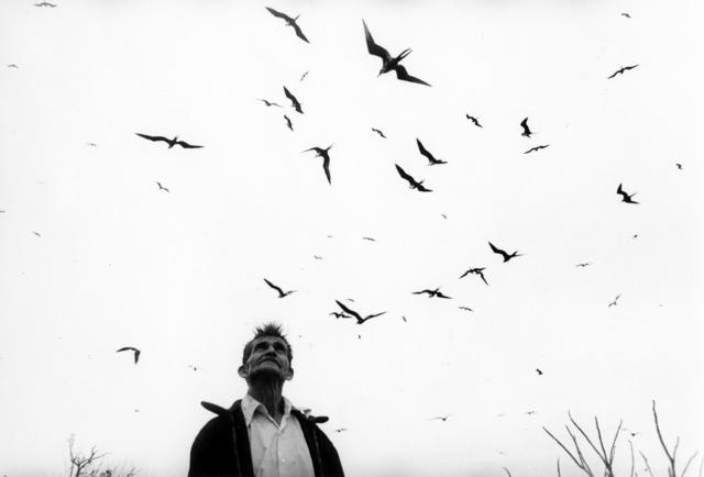El señor de los pájaros, Nayarit, México, 1985.