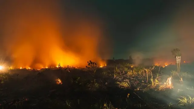 மலேசிய காட்டுத் தீ: பரவும் புகைமூட்டம், மூச்சுத் திணறும் மக்கள் - அமேசான் காடும், இந்தோனீசியா நாடும்