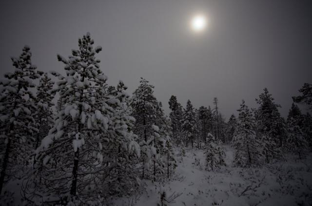 芬兰漫长寒冷的冬天让人们在心理上饱受煎熬。