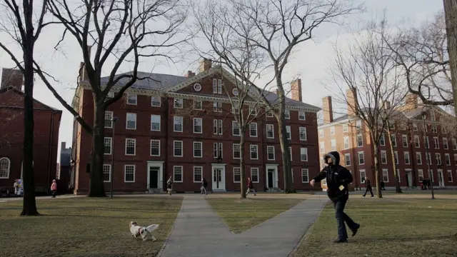 Campus de la Universidad de Harvard
