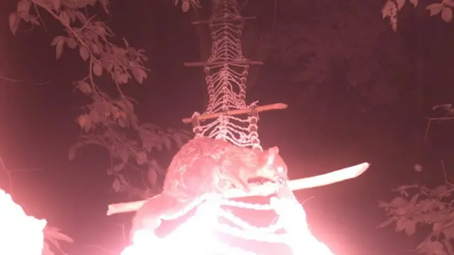 जङ्गली जनावर