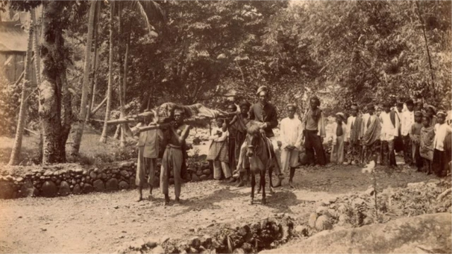 Perburuan harimau di Jawa marak terjadi di zaman penjajahan Belanda.