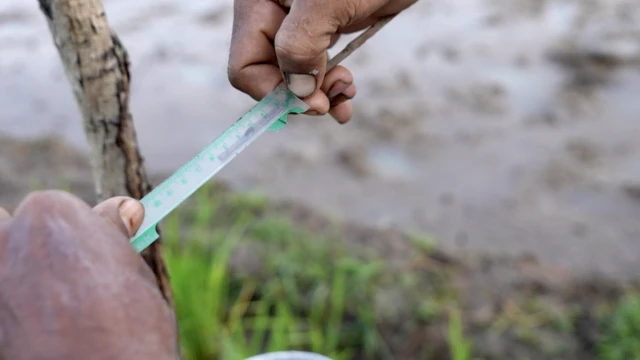petani perubahan iklim
