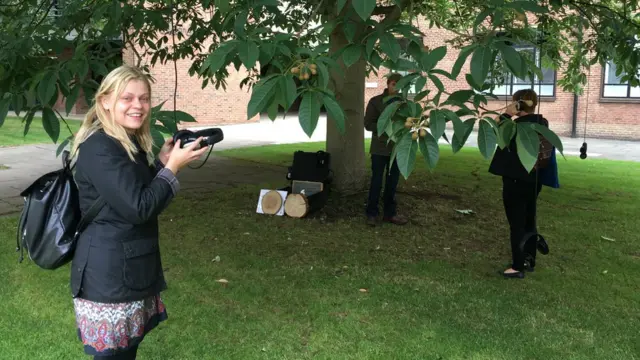 Каштан с наушниками