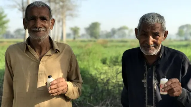 کورونا وائرس، اوکاڑہ، پنجاب، بصیرپور، پاکستان