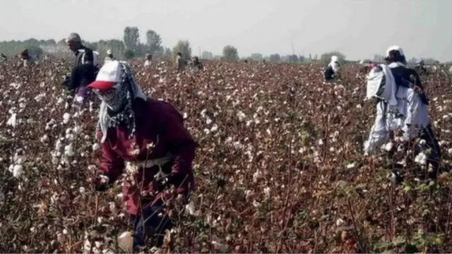 Мажбурий меҳнат