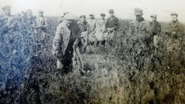 Сүргүндө жүргөн орус дыйкандары пахта талаасында. Вахш өрөөнү, 1937-жыл.