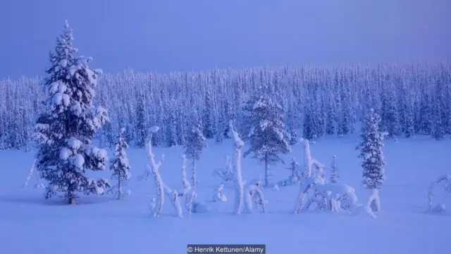 फिनलैंड, वर्ल्ड हैप्पीनेस रिपोर्ट