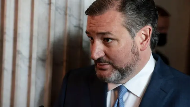 Ted Cruz, senador del estado de Texas.