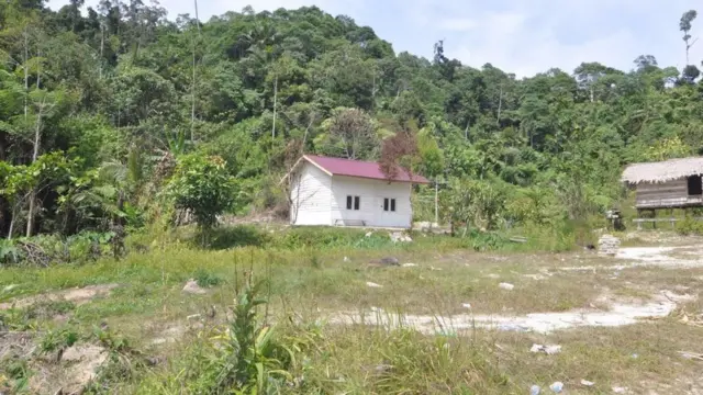 natal, MIT, sigi, ali kalora