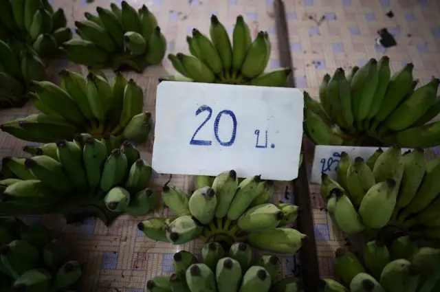 ร้านสวน