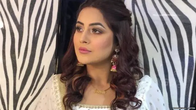 ਸ਼ਹਿਨਾਜ਼ ਗਿੱਲ