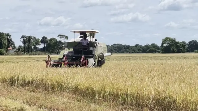 Srilankan farmers