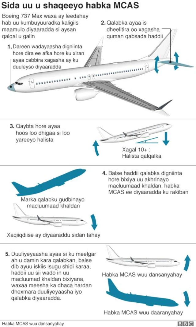 Sida uu u shaqeeyo Habka MCAS