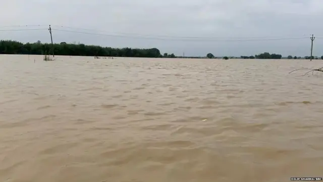 આસામમાં દર વર્ષે પૂર આવે છે અને જળવાયુ પરિવર્તનની અસરની વાત થઈ રહી છે.