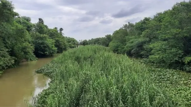 मृतदेह गोणत्यात घालून जिथे फेकून देण्यात आले तो हा कालवा