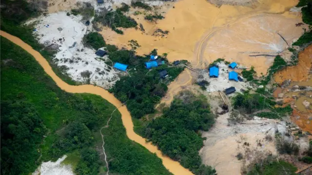 గ్లోబల్ వార్మింగ్ను అదుపు చేయడంలో అమెజాన్ రెయిన్ ఫారెస్ట్ కీలక పాత్ర పోషిస్తోంది.