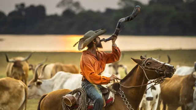 Cenaapp de apostasPantanal