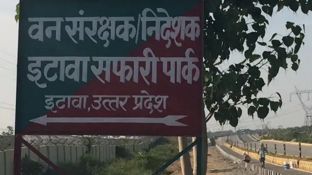 सफ़ारी पार्क