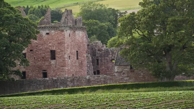 Развалины замка Брикин и картофельное поле.