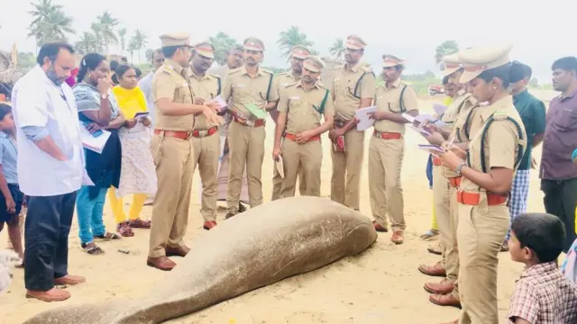 வனச்சரக அலுவலர் சதீஷ்