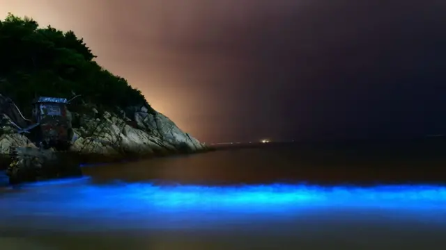 موجودات زیستتاب